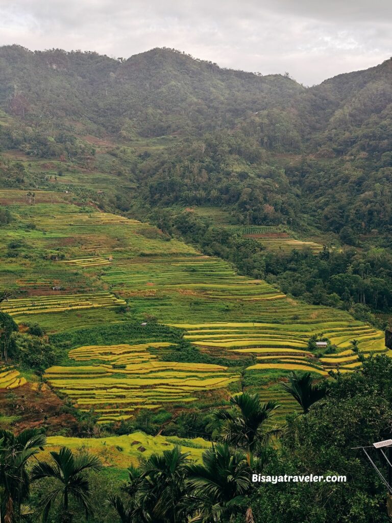 Batad Rice Terraces: A Dream 10 Years In The Making