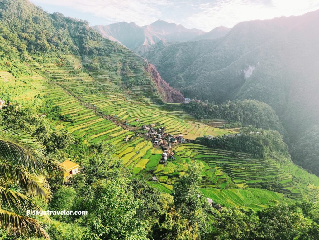 Batad Rice Terraces: A Dream 10 Years In The Making