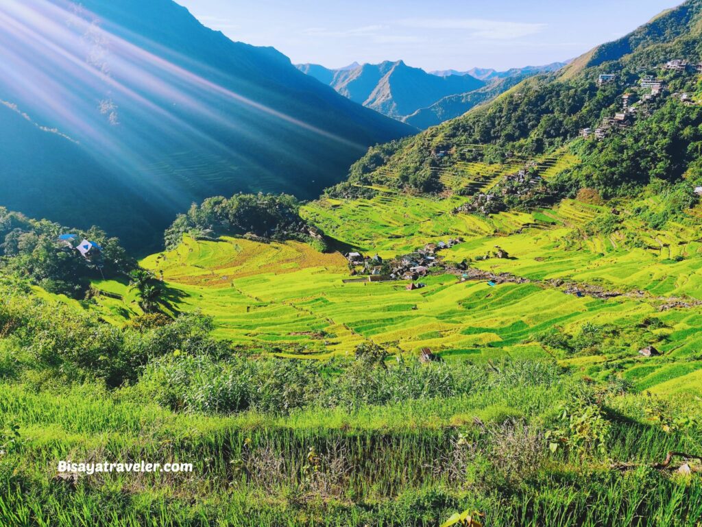 Batad Rice Terraces: A Dream 10 Years In The Making