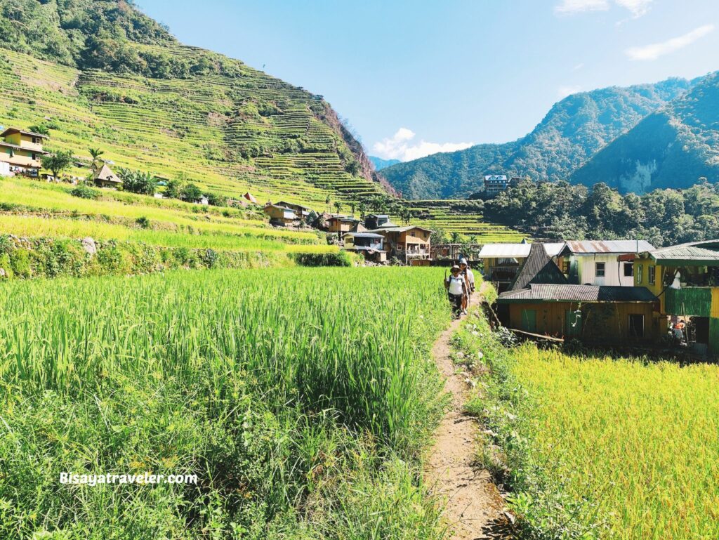 Batad Rice Terraces: A Dream 10 Years In The Making
