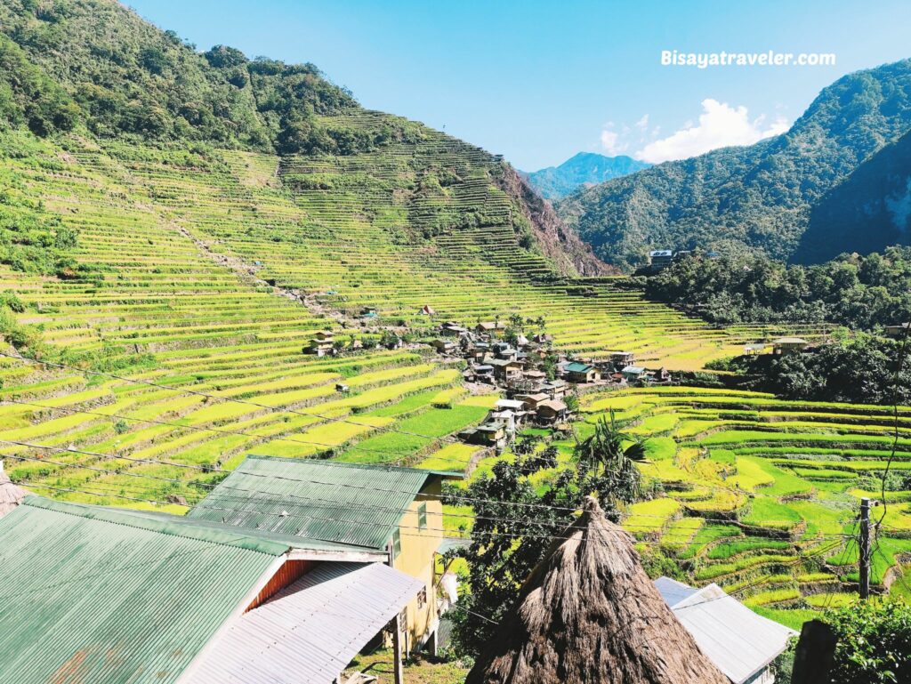 Batad Rice Terraces: A Dream 10 Years In The Making