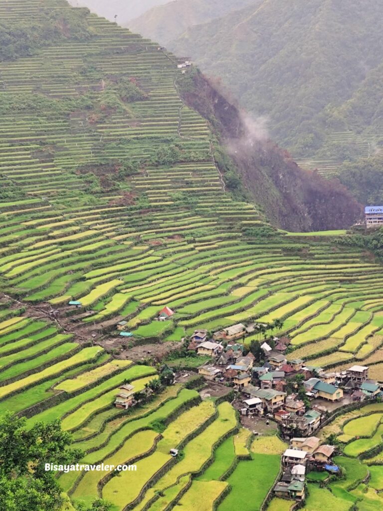 Batad Rice Terraces: A Dream 10 Years In The Making