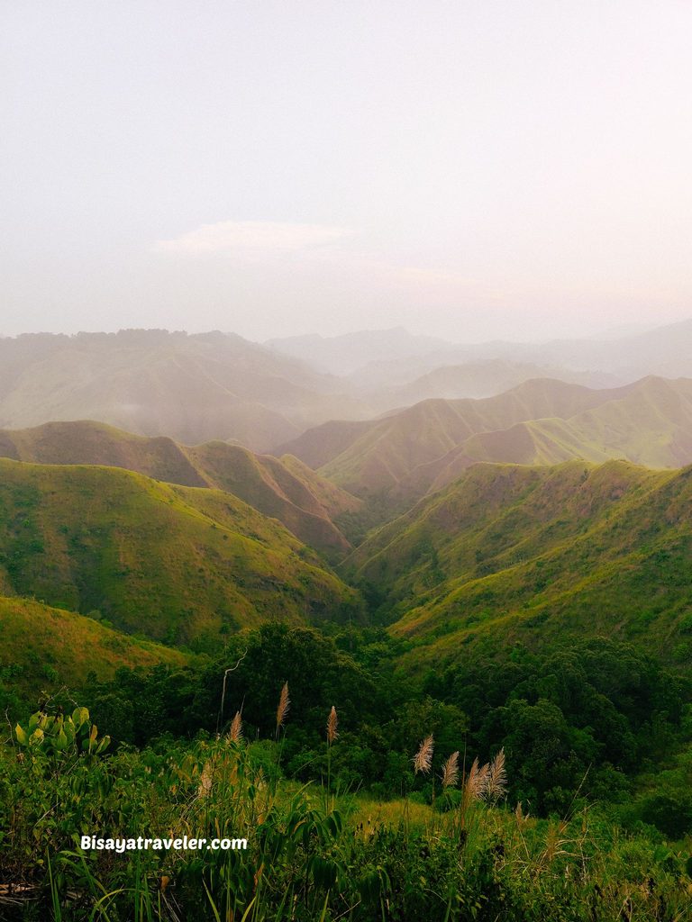 Grand La Palmera Mountain Ridge: Curiosity Is A Beautiful Risk